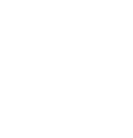 pierre-zero-0alcool-icon pierre zero 0alcool icon